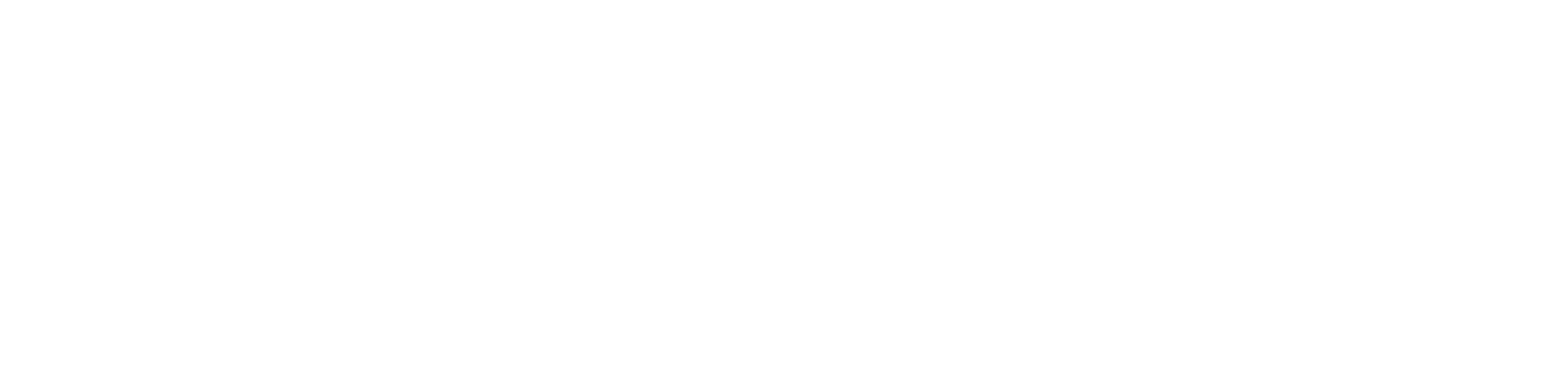 Denise HG Logo